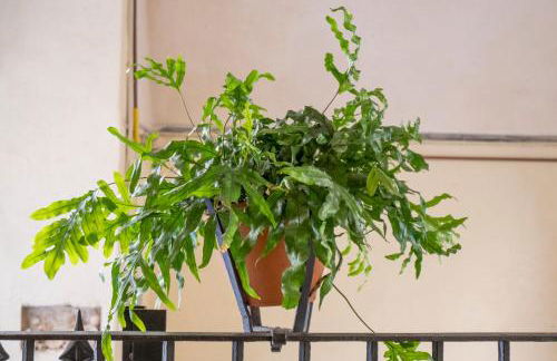 La Casina nel centro - Photo 23