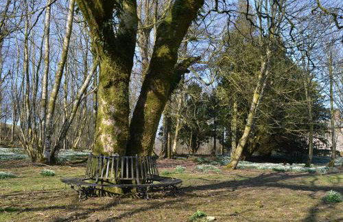 Laundry Cottage - Foto 20