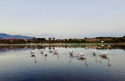 Davanti alla spiaggia - Salina Bamba Home - Foto 30