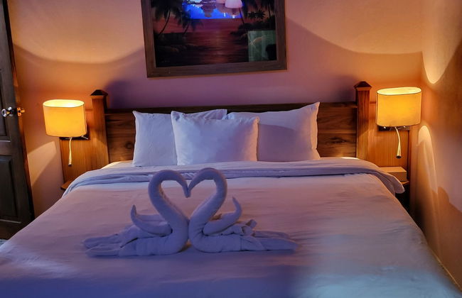 Birdie's Nest - Foto 5