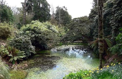 Two Bedroomed Holiday Cottage with Sea Views - Foto 30