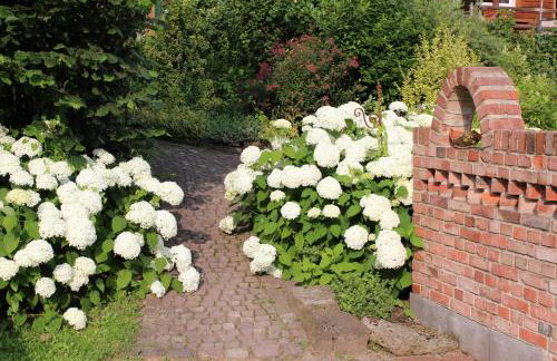 Ferienhaus Buren-Hof - Foto 46