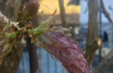 Agriturismo Marcarini - Foto 80