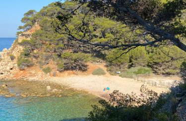 Au 526 sur mer - Foto 31