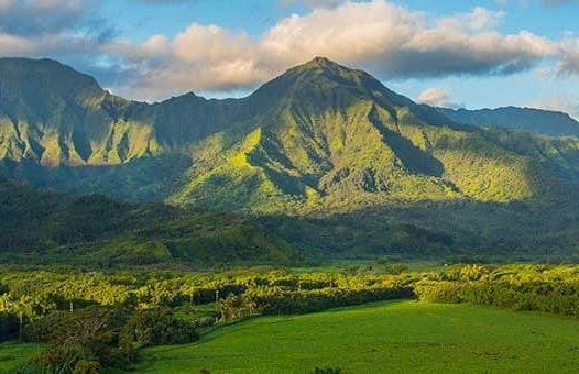 Kauai Day Trip - Photo 1