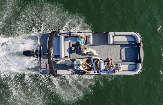 Escursione privata all'isola di Keewaydin - Foto 1