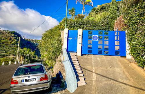 Indigo Star House - Photo 49