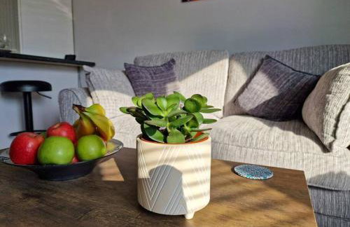 Dove Apartments - Foto 8