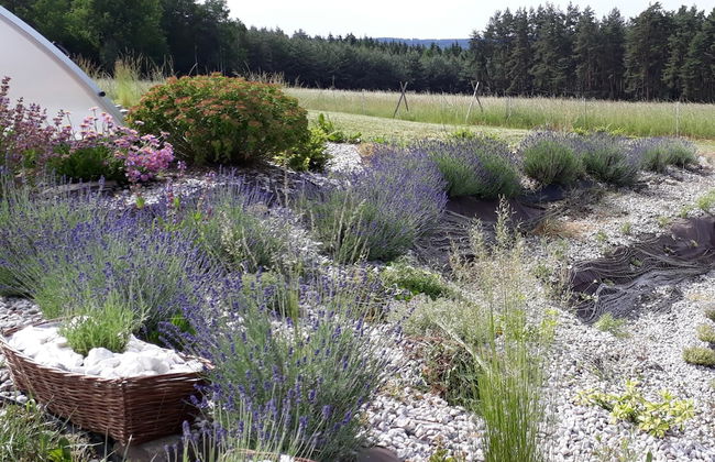 Country House in Czech Forest With Pool - Foto 27