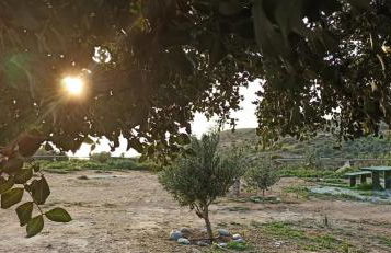 Villa George Sea View with pool - Triopetra - Foto 47