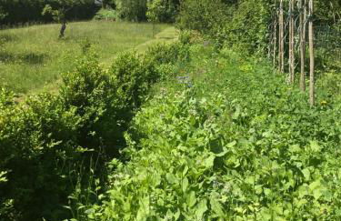 Unterkunft bis 7 Personen in Ilmenau Oehrenstock - Foto 15