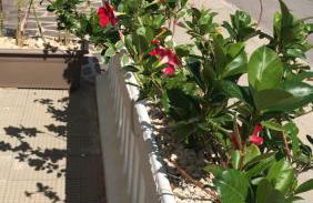 La Porta Del Sole - Foto 11