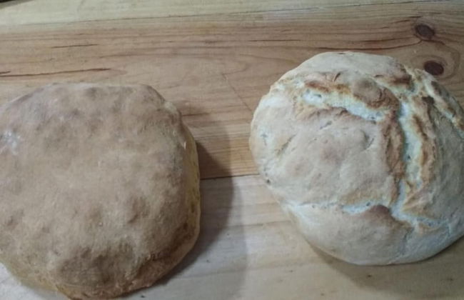 Mas de Leon - Photo 40