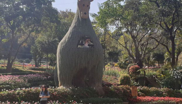 Chiang Rai Stadt Tempel Tour - Foto 2