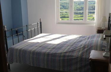 La salamandre - Foto 15