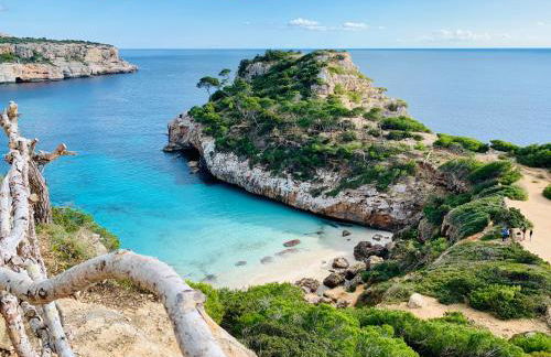 Apartaments Marina Sol i Pins - Foto 5