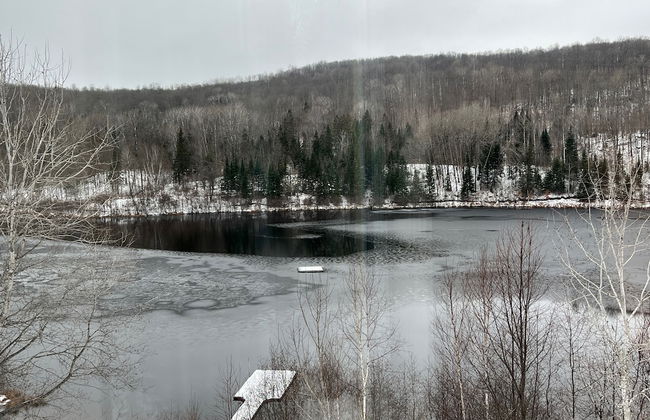 Domaine du Cinq - Foto 43