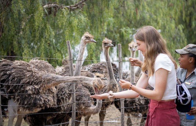 Chandelier Game Lodge - Foto 42