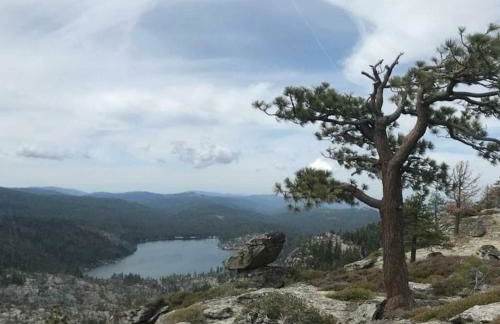 Cozy Mountain Cabin Yosemite Dodge Ridge Ski - Foto 38