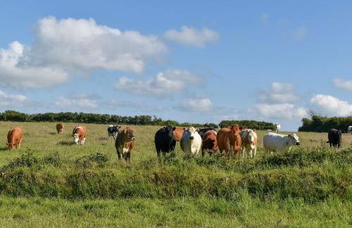 Stable Cottage - Uk12088 - Foto 4