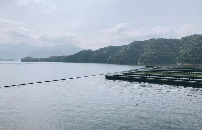 Thousand Islands Lakeview Apartment - Foto 45