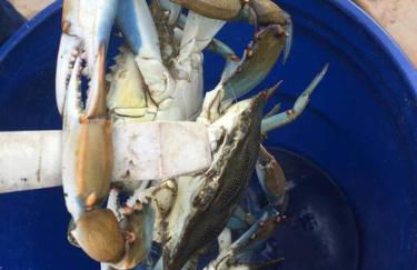 Cottage by the bay, sleeps 8 near Rehoboth beach - Foto 40