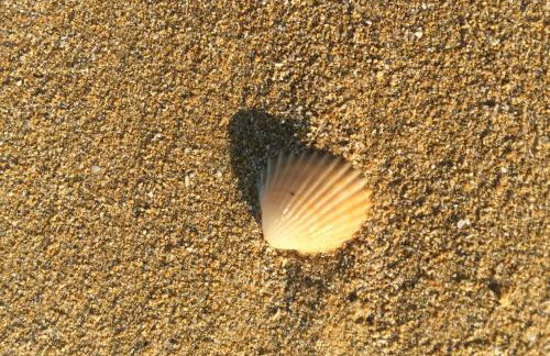 Relax Near The Sea - Foto 51