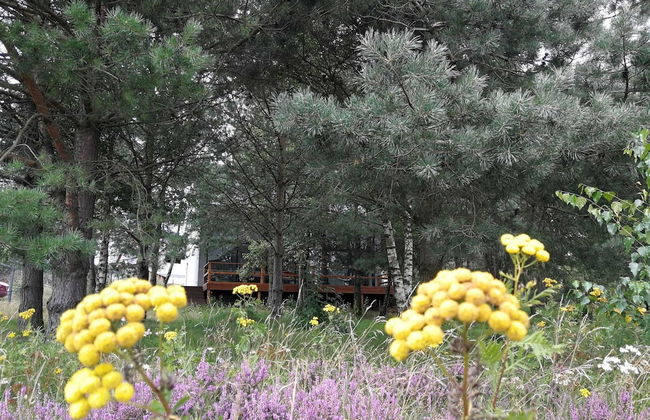 Glass Cottage in Jelenska Huta With Terrace - Photo 22