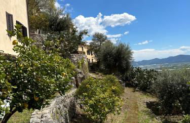 La bella vista - Foto 5