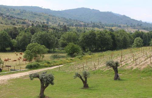 Quinta Vale da Prata - Foto 44