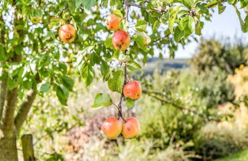 Geräumiges Apartment am Waldrand im Sauerland - Foto 40