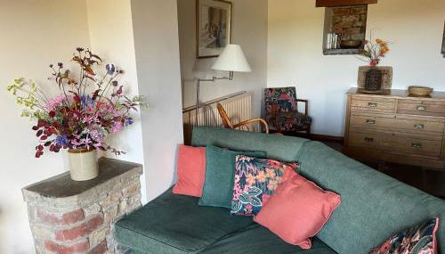 Phlomis - Photo 4, Other