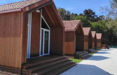 Finca O Loureiro - Foto 59