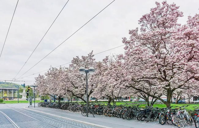 Wohnen am Bäckerbrunnen - Photo 25