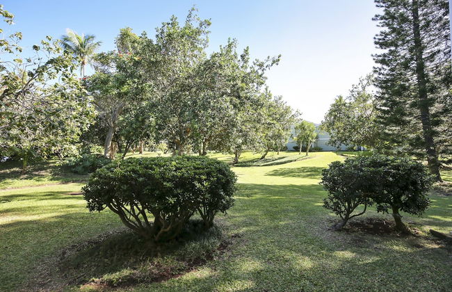 Turtle Bay Primrose***ta-016722124801 1 Bedroom Condo by RedAwning - Foto 18