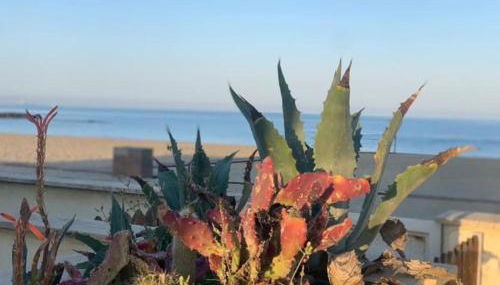 Veronica's House Fiumicino - Foto 3