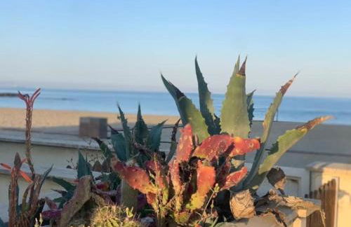 Veronica's House Fiumicino - Foto 3