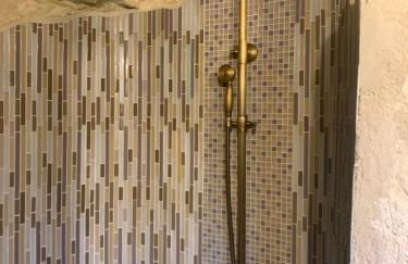 The Cygnet at the 'Songbird Sanctuary' - Foto 13