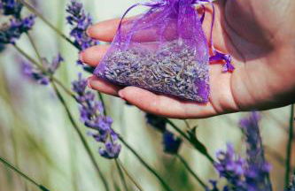 Casale Elisa Country Hotel - Foto 77