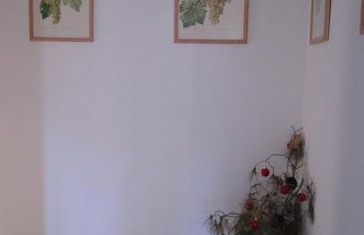 Heritage Apartments Kyra & Fox in Pitve, Hvar - Photo 50