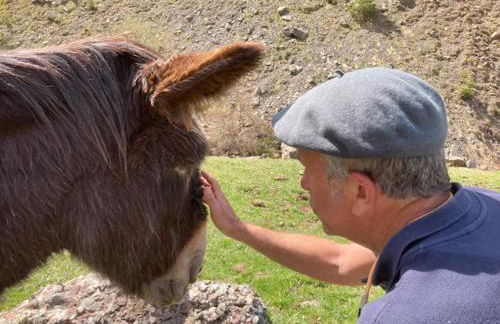 Au Graé - Maison à louer à Laruns Béarn - Foto 1