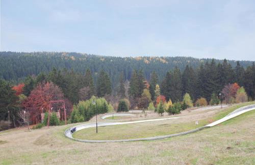 Family-friendly Forest Home - Foto 71