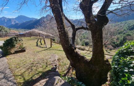 Cal Marti - Vilamantells - Foto 40