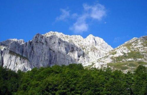 Blue Eyes Centre Free Parking - Foto 24