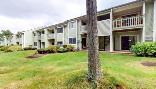 Ocean Mandevilla - Foto 4