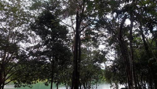 Rancho do Guila Pesca & Diversão Corumbá 3 - Foto 4