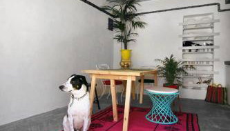 Sterna Artists Studio - Foto 3