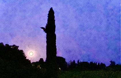 Il Sassello - Foto 32