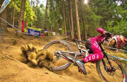 I Larici - Photo 103