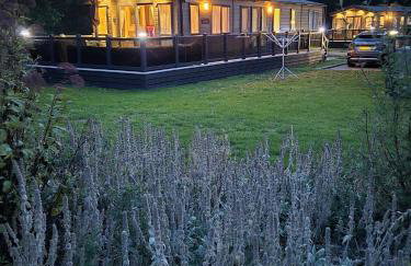 New Forest holiday lodge - Foto 7